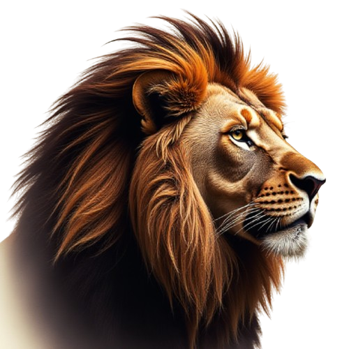 Beast of Africa