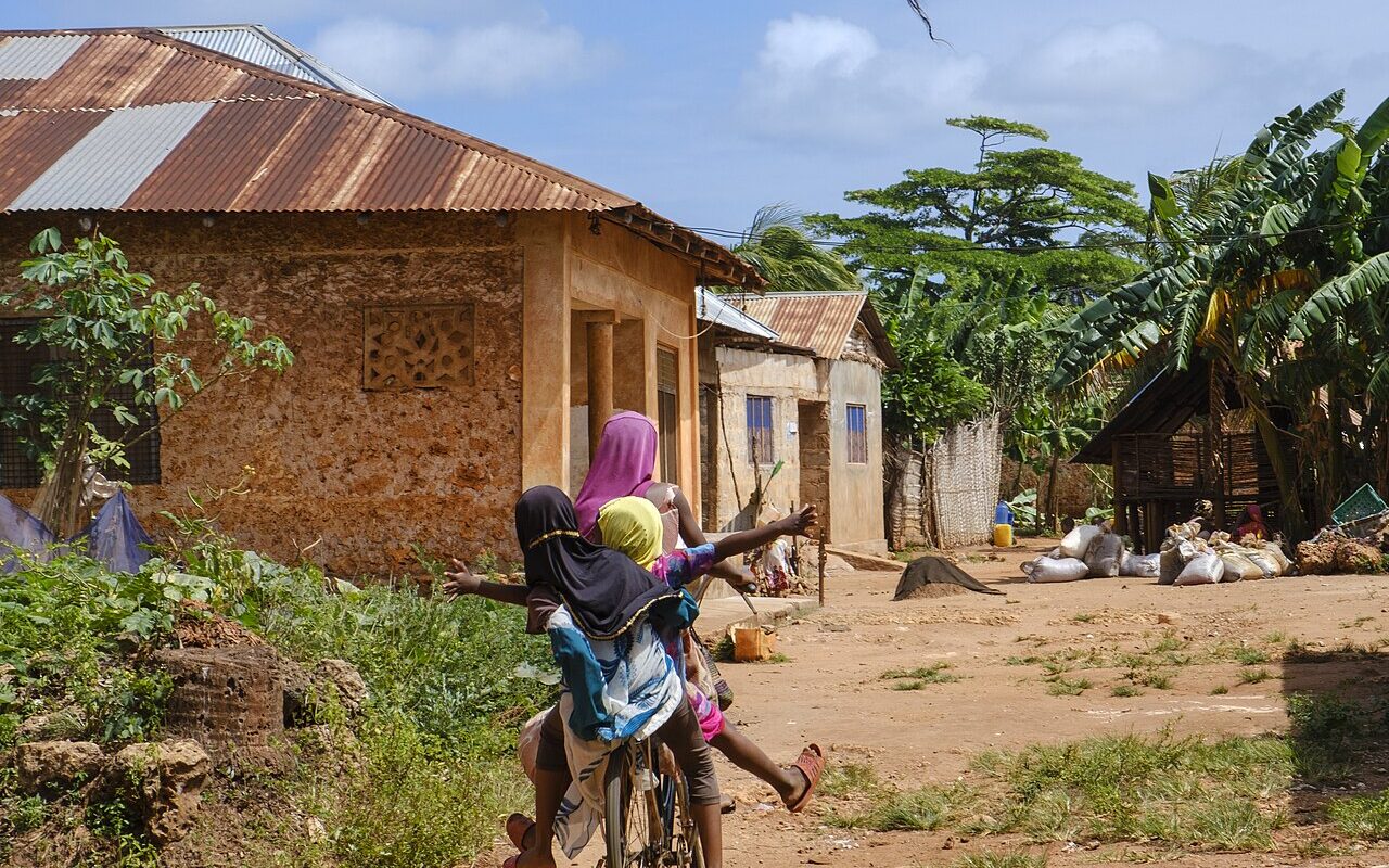 This is an image with the theme "Home + Habitat in Africa" from: